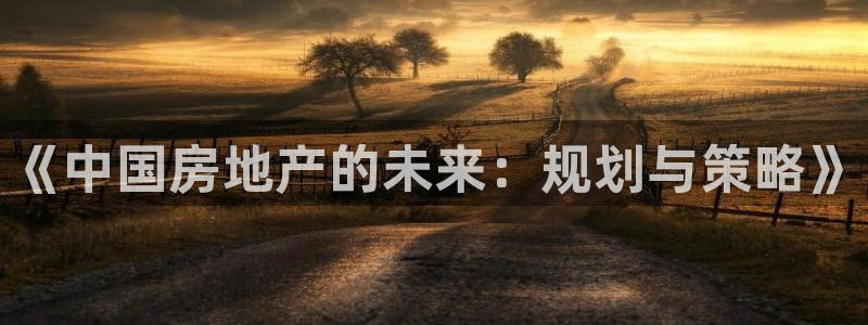 娱乐风暴港：《中国房地产的未来：规划与策略》