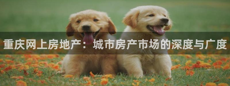 风暴官方娱乐：重庆网上房地产：城市房产市场的深度与广度