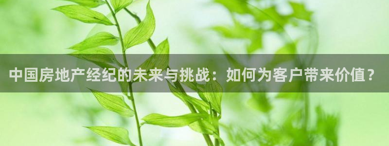 蓝色风暴娱乐：中国房地产经纪的未来与挑战：如何为客户带来价值