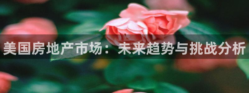 娱乐风暴合集：美国房地产市场：未来趋势与挑战分析