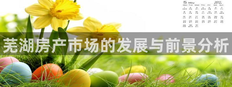 风暴娱乐1980：芜湖房产市场的发展与前景分析