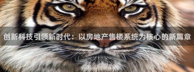 娱乐风暴合集：创新科技引领新时代：以房地产售楼系统为核心的新