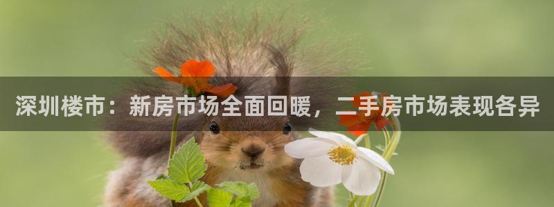 风暴娱乐下载：深圳楼市：新房市场全面回暖，二手房市场表现各异