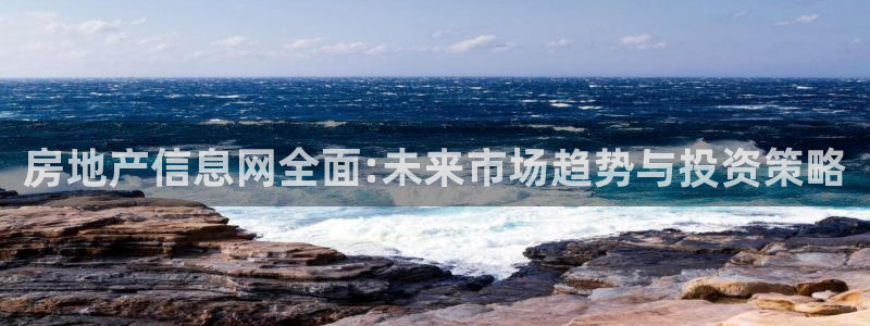 风暴娱乐园：房地产信息网全面:未来市场趋势与投资策略