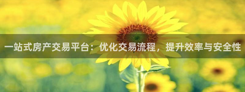 风暴娱乐 平台首页：一站式房产交易平台：优化交易流程，提升效