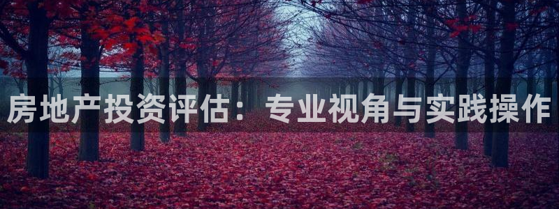 风暴官方娱乐：房地产投资评估：专业视角与实践操作