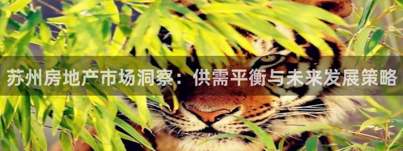 风暴娱乐厅：苏州房地产市场洞察：供需平衡与未来发展策略