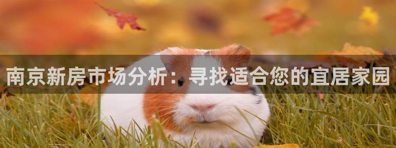 风暴娱乐下5指尖：南京新房市场分析：寻找适合您的宜居家园