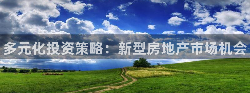风暴娱乐平台官网登陆：多元化投资策略：新型房地产市场机会