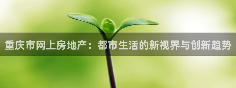 风暴官方娱乐：重庆市网上房地产：都市生活的新视界与创新趋势
