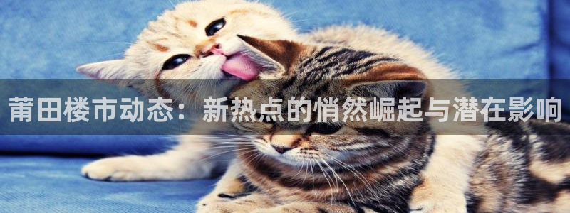 风暴娱乐字图片大全：莆田楼市动态：新热点的悄然崛起与潜在影响