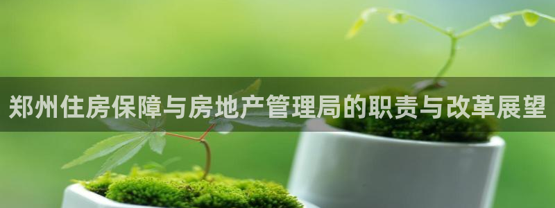 风暴平娱乐：郑州住房保障与房地产管理局的职责与改革展望