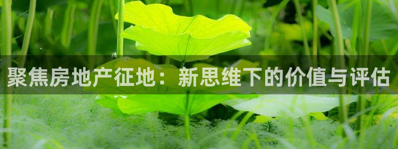 风暴娱乐5O6917：聚焦房地产征地：新思维下的价值与评估