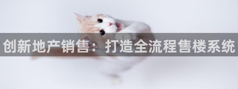 风暴娱乐字图片大全：创新地产销售：打造全流程售楼系统