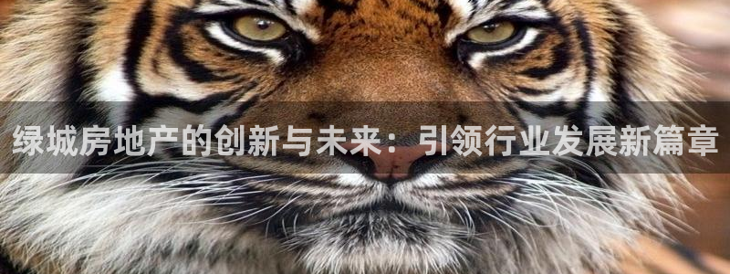 注册风暴娱乐：绿城房地产的创新与未来：引领行业发展新篇章