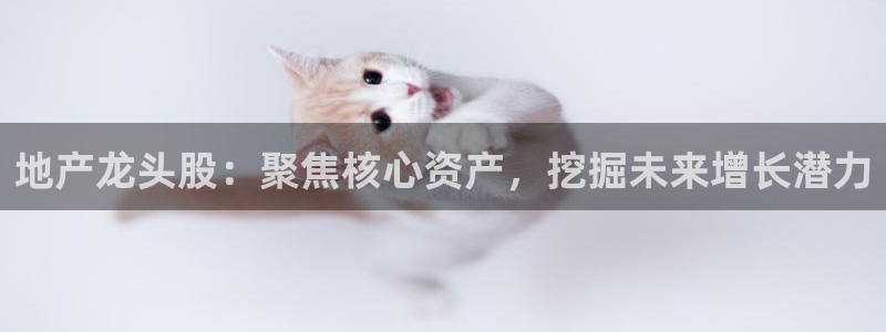风暴娱乐实况：地产龙头股：聚焦核心资产，挖掘未来增长潜力