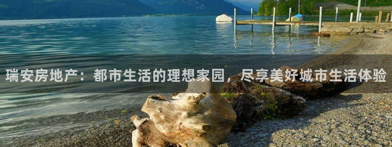 风暴娱乐派对：瑞安房地产：都市生活的理想家园，尽享美好城市生