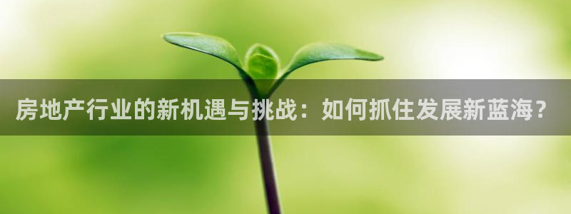 风暴娱乐 北京：房地产行业的新机遇与挑战：如何抓住发展新蓝海