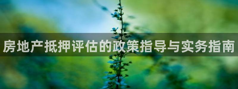 4120051风暴娱乐：房地产抵押评估的政策指导与实务指南