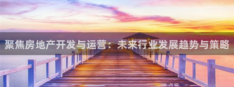 娱乐风暴开头：聚焦房地产开发与运营：未来行业发展趋势与策略