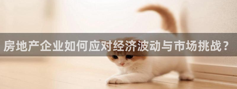 风暴娱乐棋牌：房地产企业如何应对经济波动与市场挑战？