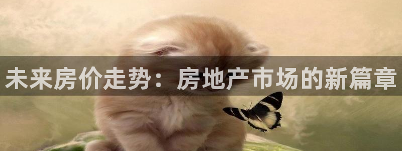 风暴娱乐线路：未来房价走势：房地产市场的新篇章