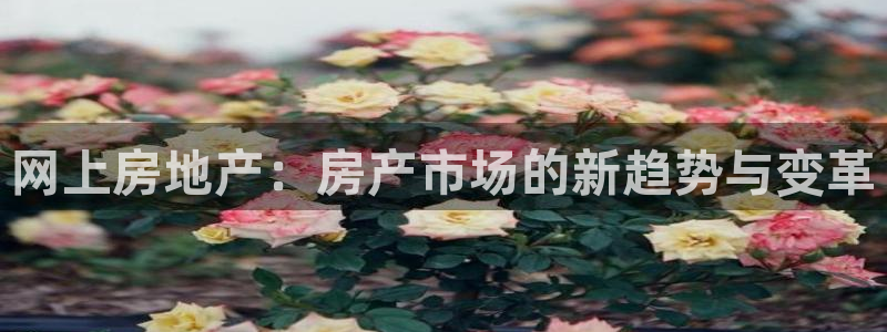 风暴娱乐号：网上房地产：房产市场的新趋势与变革