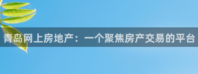 娱乐风暴2：青岛网上房地产：一个聚焦房产交易的平台