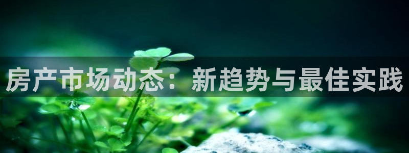 风暴娱乐实况：房产市场动态：新趋势与最佳实践