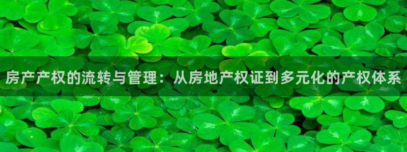 风暴数字娱乐：房产产权的流转与管理：从房地产权证到多元化的产
