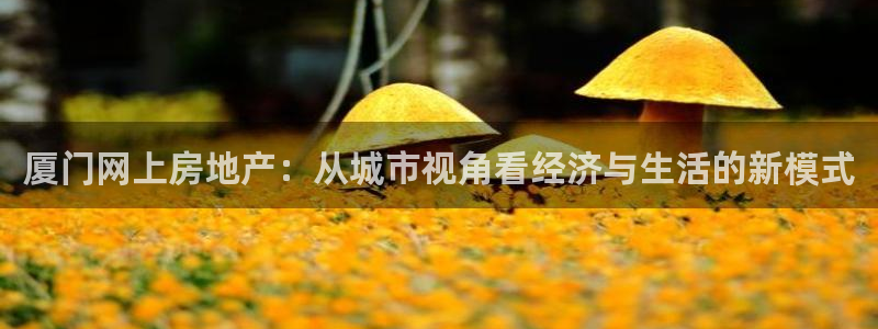 风暴娱乐拉菲8：厦门网上房地产：从城市视角看经济与生活的新模