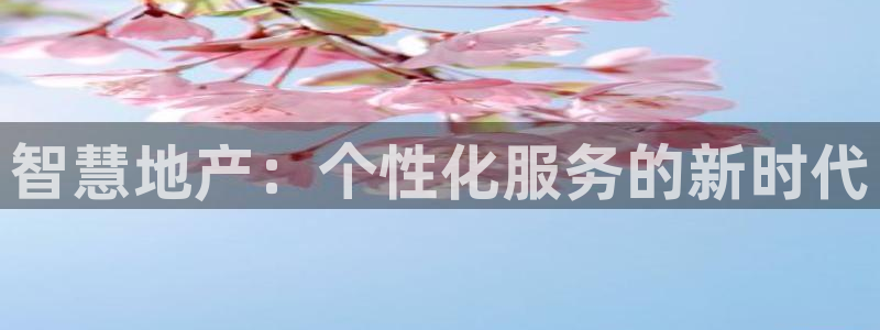 风暴娱乐线路：智慧地产：个性化服务的新时代
