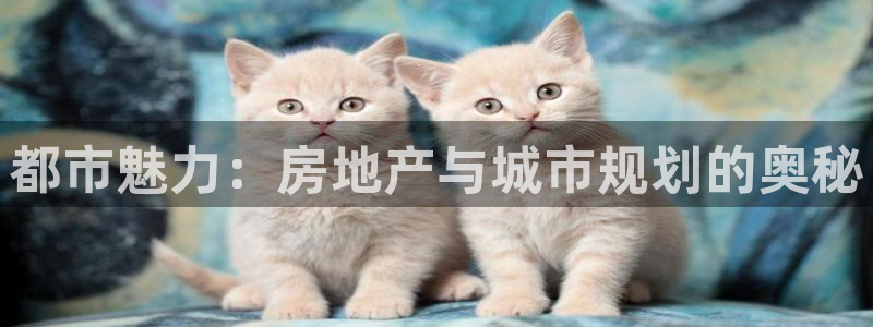 娱乐风暴二：都市魅力：房地产与城市规划的奥秘
