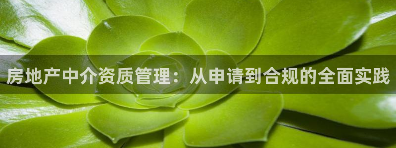 风暴娱乐银川：房地产中介资质管理：从申请到合规的全面实践