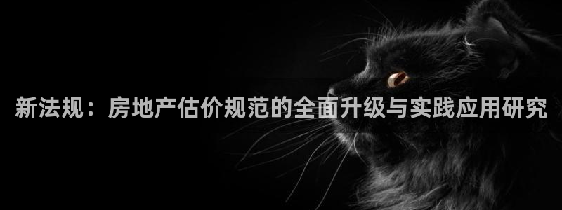 风暴娱乐汇：新法规：房地产估价规范的全面升级与实践应用研究