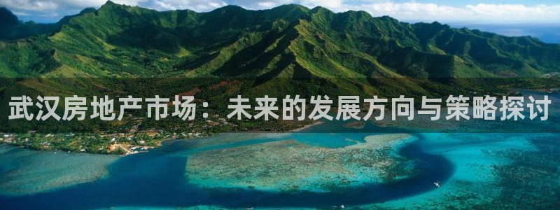 风暴娱乐记：武汉房地产市场：未来的发展方向与策略探讨