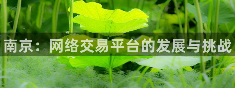 风暴娱乐主页：南京：网络交易平台的发展与挑战