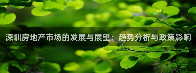 风暴娱乐官方网站：深圳房地产市场的发展与展望：趋势分析与政策
