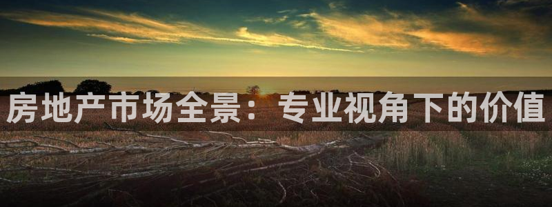 风暴娱乐代理登录：房地产市场全景：专业视角下的价值