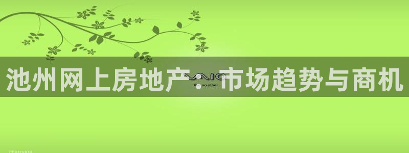风暴娱乐提现：池州网上房地产：市场趋势与商机