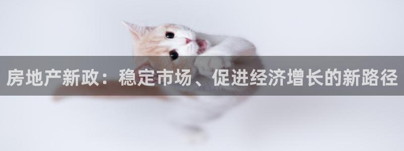风暴眼娱乐：房地产新政：稳定市场、促进经济增长的新路径