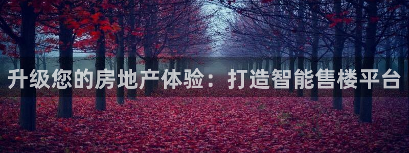 风暴娱乐汇：升级您的房地产体验：打造智能售楼平台