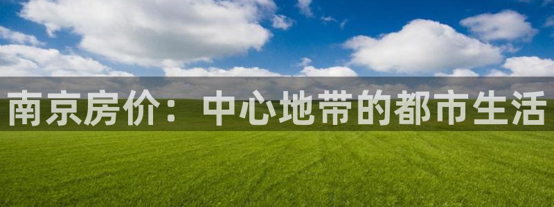 蓝色风暴娱乐：南京房价：中心地带的都市生活