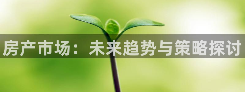风暴娱乐套路：房产市场：未来趋势与策略探讨