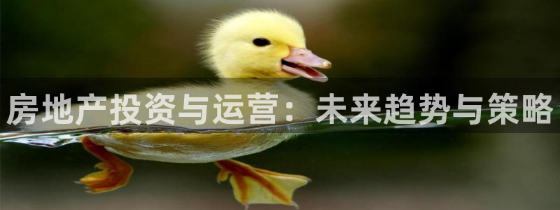 风暴娱乐图片：房地产投资与运营：未来趋势与策略