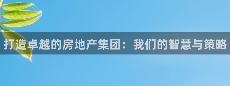 风暴娱乐点：打造卓越的房地产集团：我们的智慧与策略